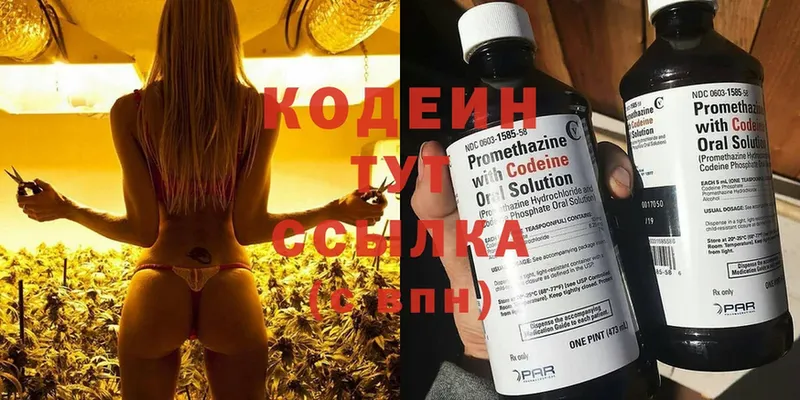 blacksprut как зайти  Вилючинск  Codein Purple Drank  купить наркотики сайты 